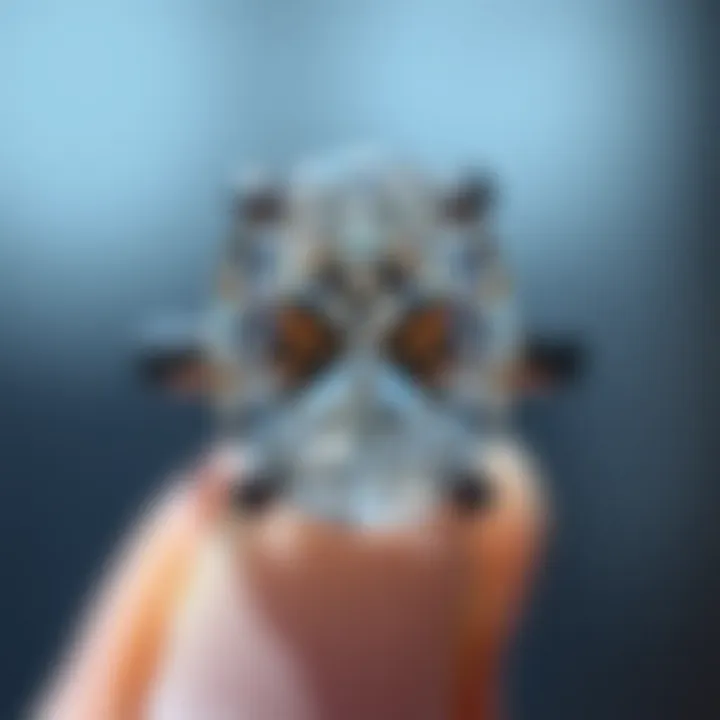 Artistic representation of an oval diamond with claw prongs in an elegant design