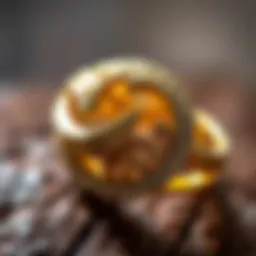 A close-up view of a beautifully crafted gold ring showcasing intricate detailing