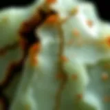 Close-up of a jade crystal showcasing its intricate patterns and color variations