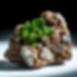 Exploring Staurolite Crystals: Characteristics, Formation, and Significance Introduction