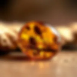 Fossilized amber showcasing ancient inclusions