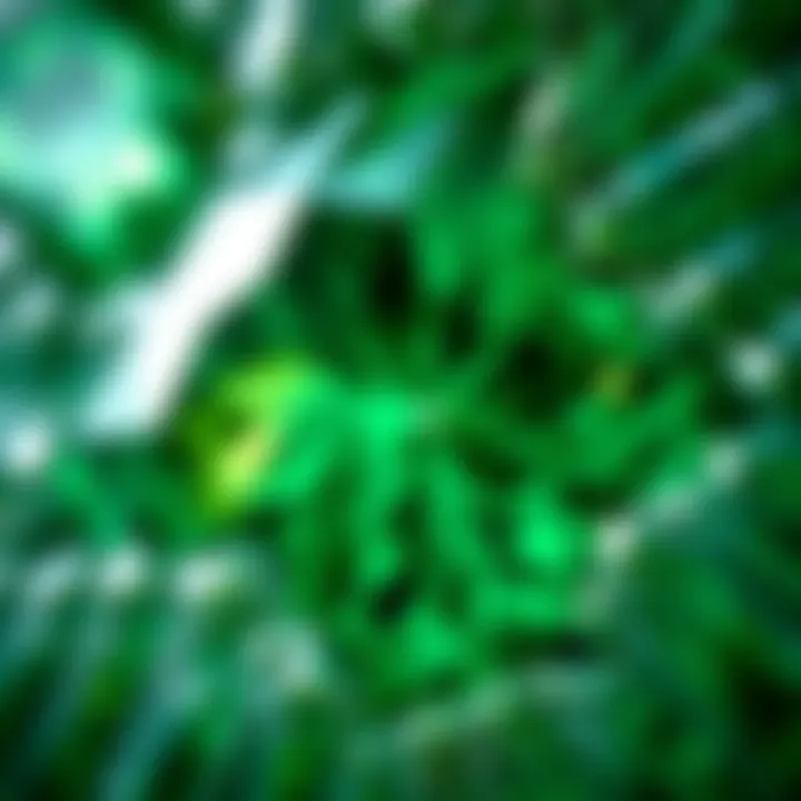 Close-up of a gemstone with intricate green patterns