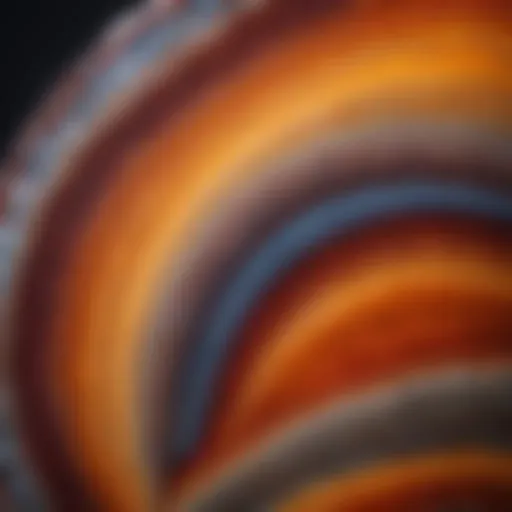 Close-up view of a vibrant agate specimen showcasing intricate banding patterns.