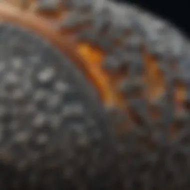 Close-up view of a marcasite stone showcasing its unique luster and texture